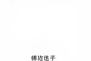 《午夜便利店》热榜曲线与二次讨论截图封面